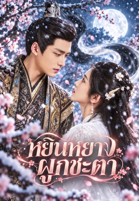 หยินหยางผูกชะตา